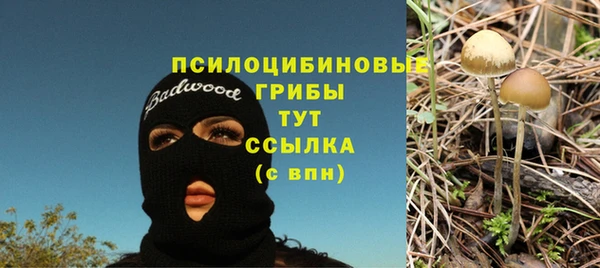 метамфетамин Няндома