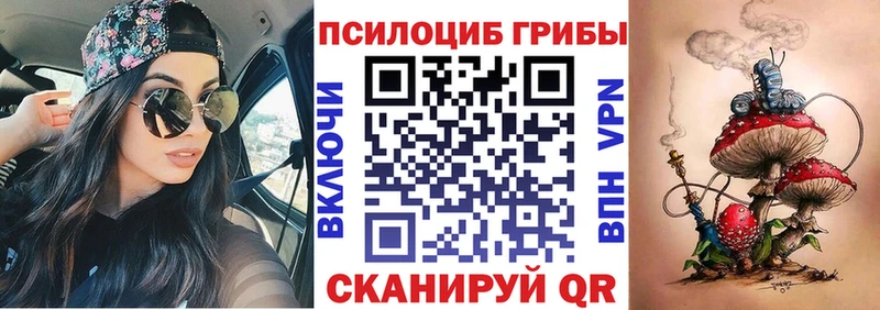 наркошоп  Оленегорск  Галлюциногенные грибы Psilocybe 