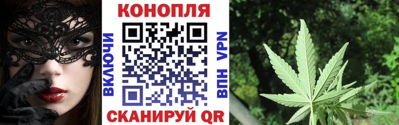 Шишки марихуана White Widow  как найти закладки  Оленегорск 